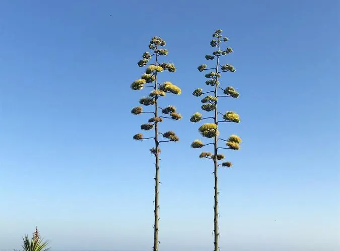 Marbella - Frontline Апартаменти Естепона