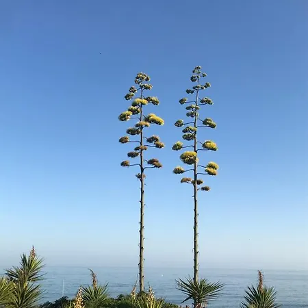 Marbella - Frontline Apartamento Estepona